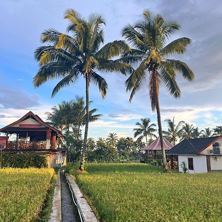 Rice Field Inn - Lombok Тетебату Екстер'єр фото