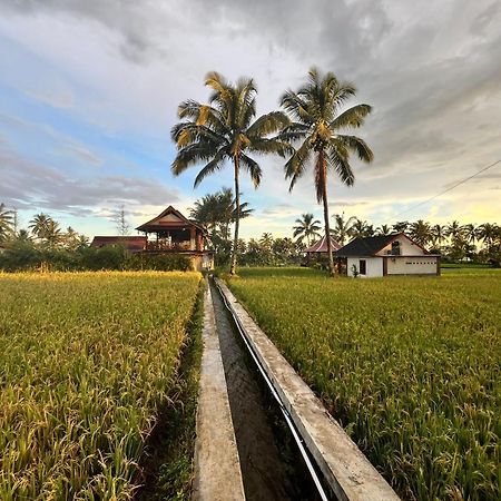 Rice Field Inn - Lombok Тетебату Екстер'єр фото