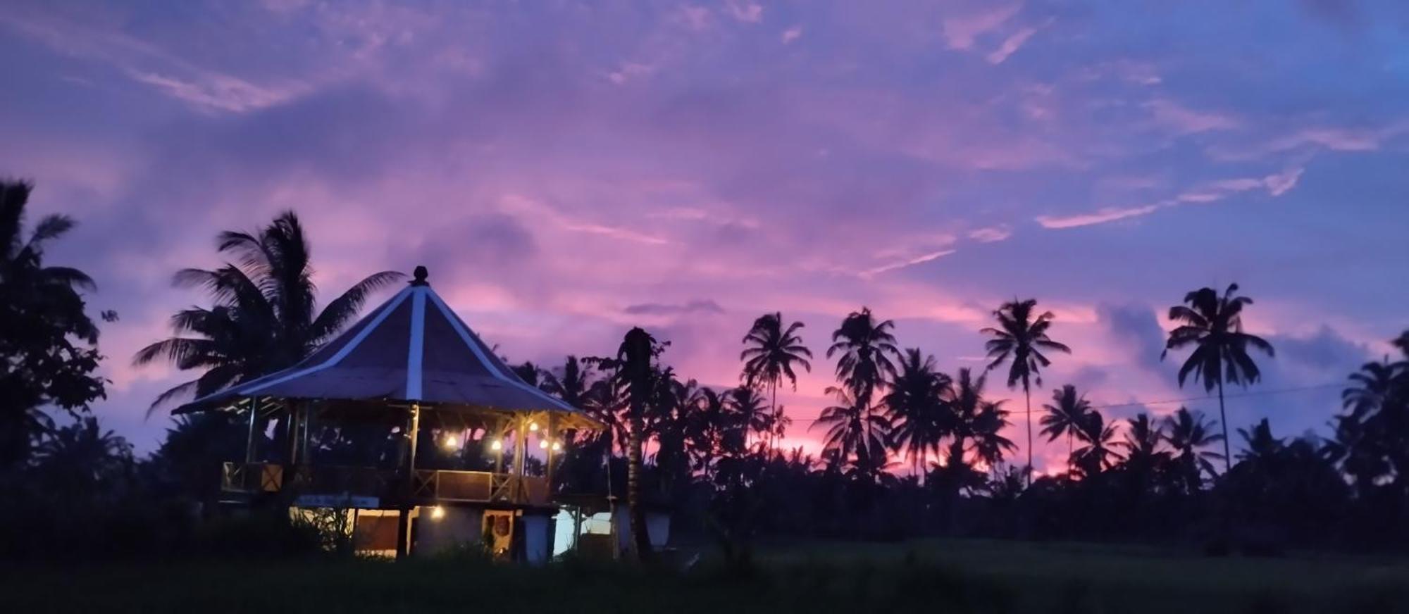 Rice Field Inn - Lombok Тетебату Екстер'єр фото