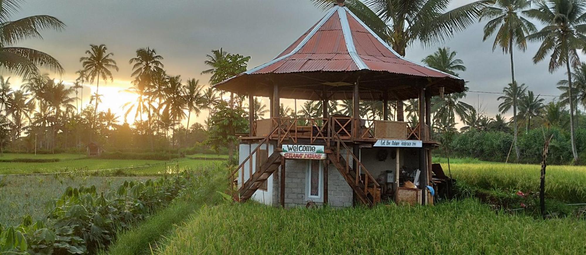 Rice Field Inn - Lombok Тетебату Екстер'єр фото
