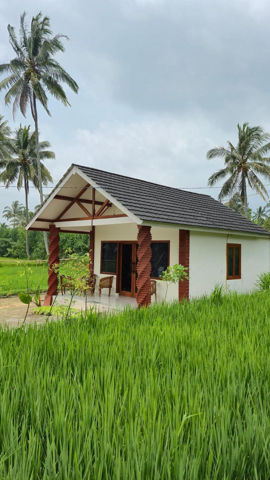 Rice Field Inn - Lombok Тетебату Екстер'єр фото