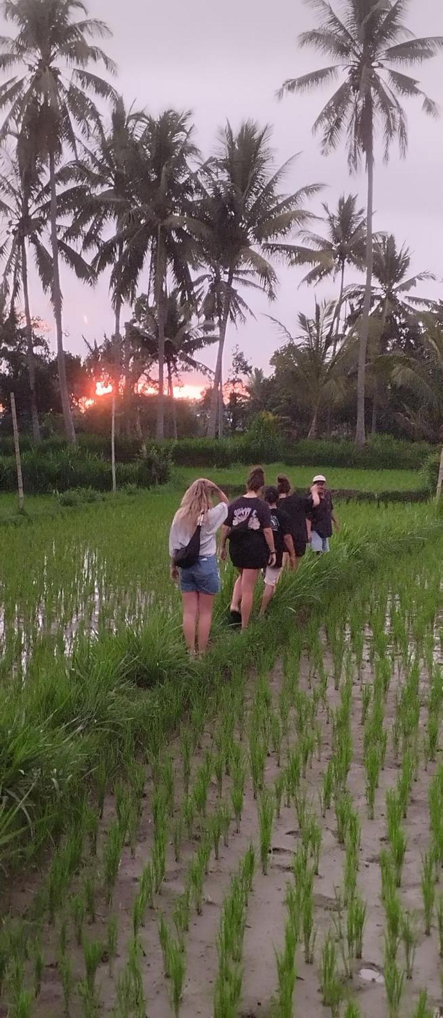 Rice Field Inn - Lombok Тетебату Екстер'єр фото