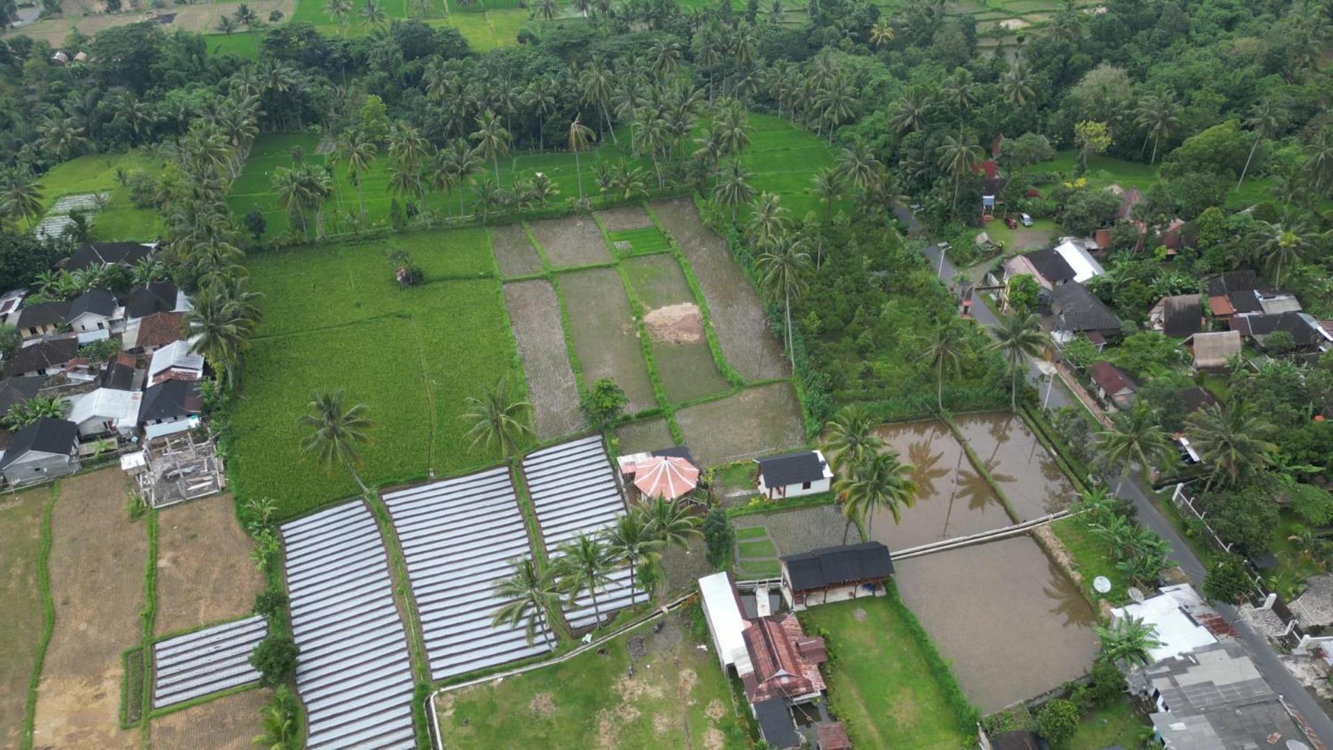 Rice Field Inn - Lombok Тетебату Екстер'єр фото