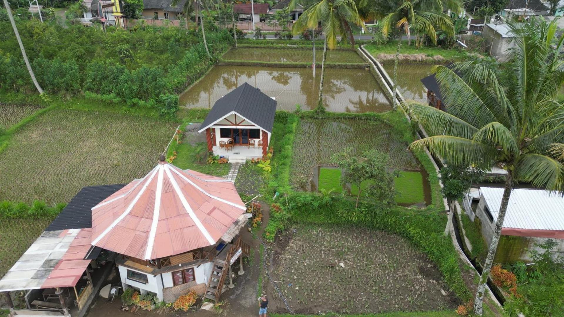 Rice Field Inn - Lombok Тетебату Екстер'єр фото