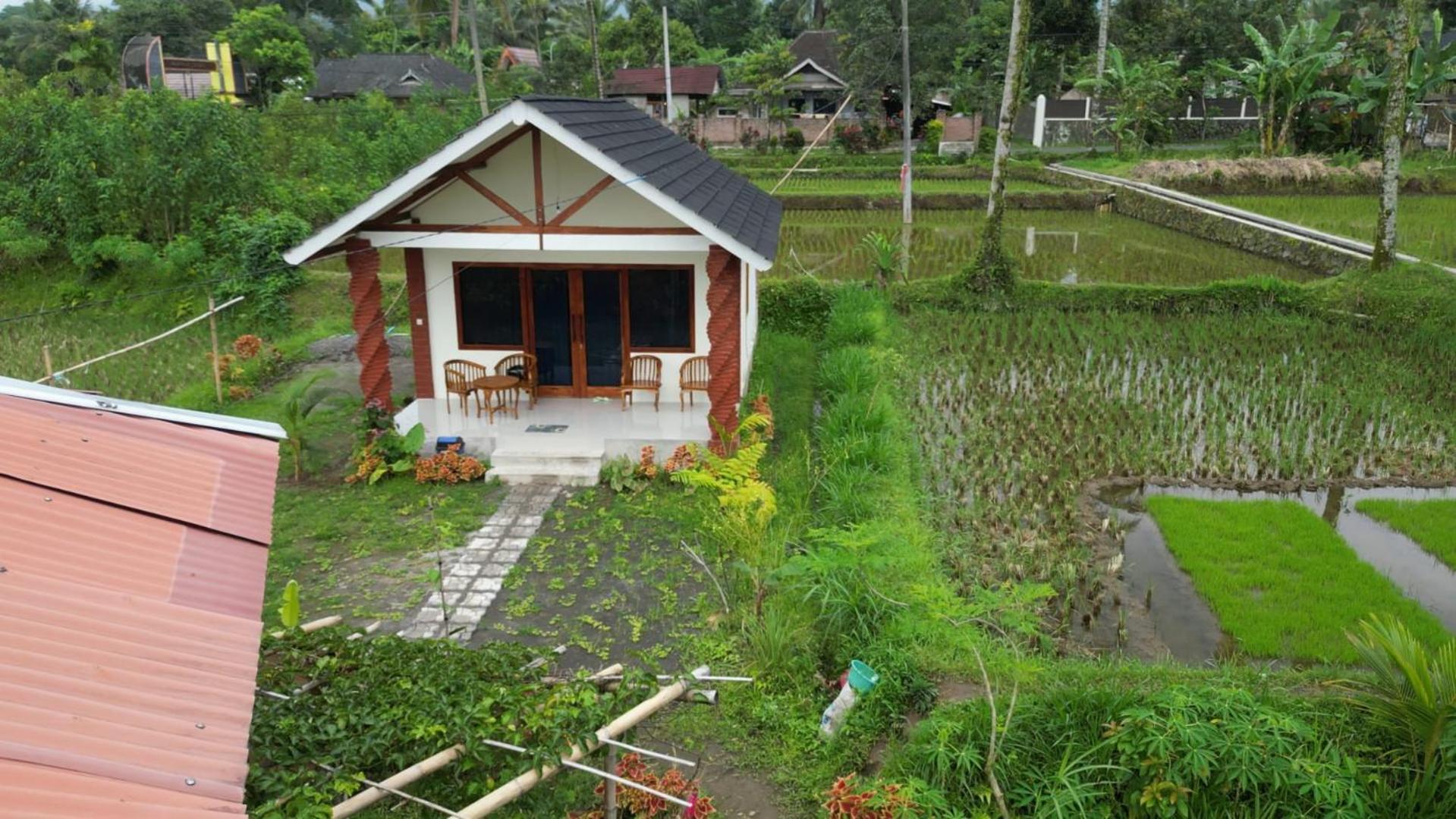 Rice Field Inn - Lombok Тетебату Екстер'єр фото