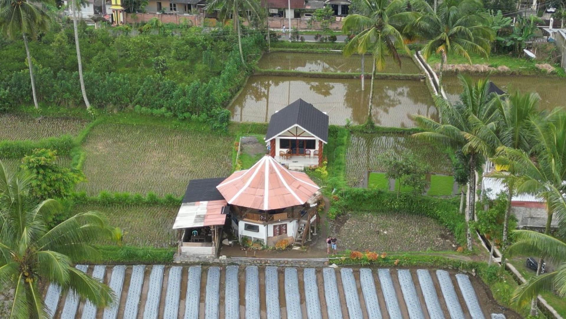Rice Field Inn - Lombok Тетебату Екстер'єр фото