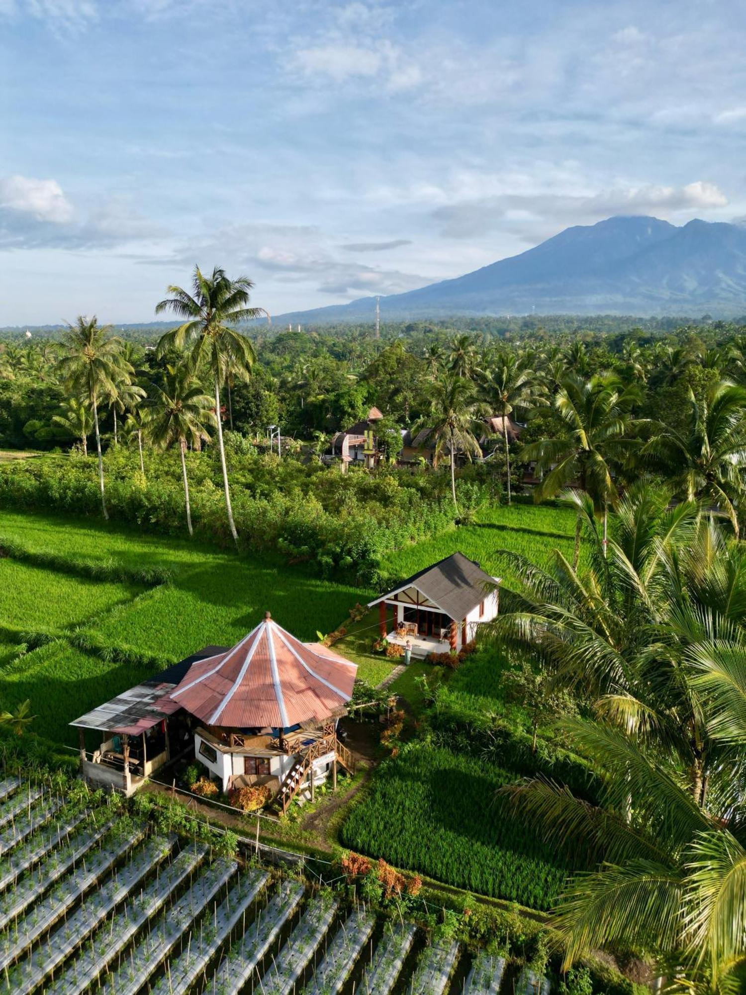 Rice Field Inn - Lombok Тетебату Екстер'єр фото