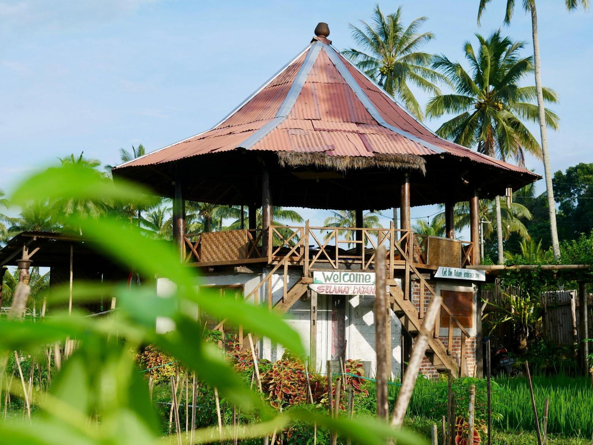 Rice Field Inn - Lombok Тетебату Екстер'єр фото