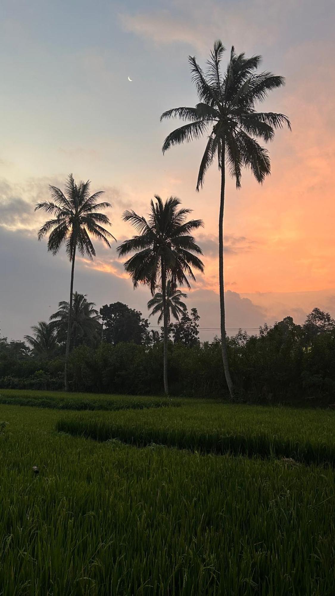 Rice Field Inn - Lombok Тетебату Екстер'єр фото