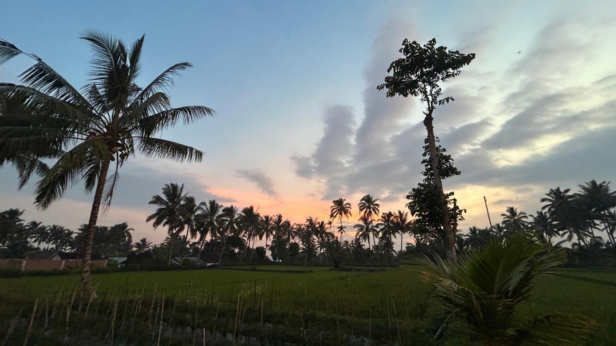 Rice Field Inn - Lombok Тетебату Екстер'єр фото